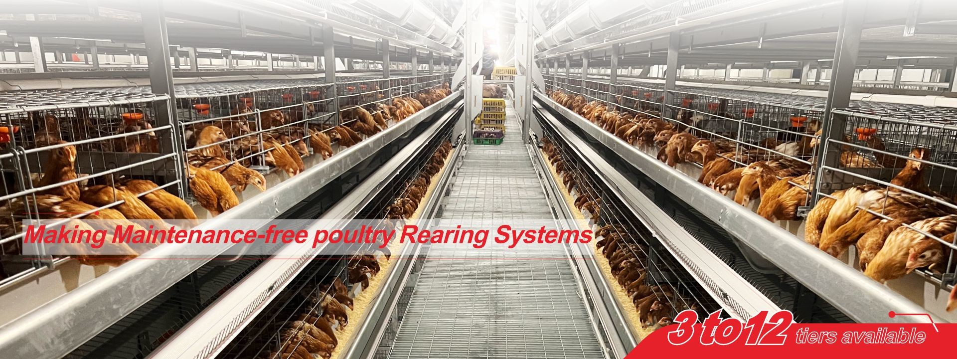 جودة نظام قفص بطارية الدواجن مصنع