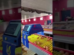 فيرمروب 99.8% دقة عداد البيض الذكي 25W 220V 50HZ ISO9001 معتمد