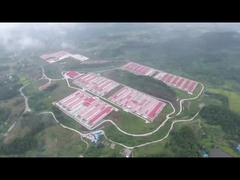 نظام قفص بطارية الدواجن