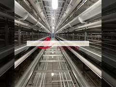 نظام قفص دجاج طبقات فعال من حيث التكلفة من الفولاذ Q235