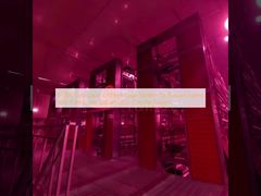 60000 نظام قفص الدجاج الآمن للزرع الروسي مع 9 طيور لكل خلية وتصميم صديق للبيئة