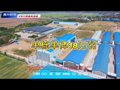 12 طبقات 6 صفوف مزرعة طبقة