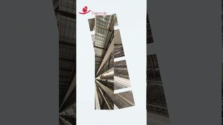 فارمروب | معدات طبقة البط #مزرعة_الدواجن #الدجاج