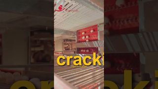 فارمروب | رفع البيض بشكل مستقر